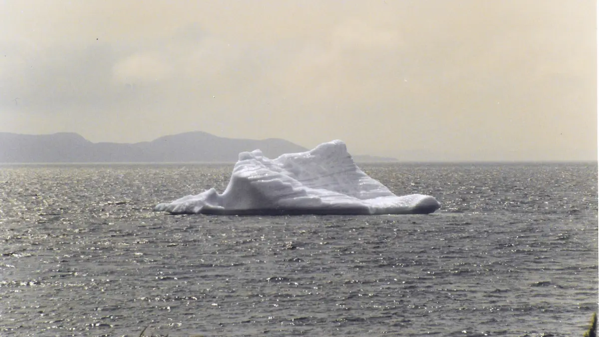 Un iceberg nelle acque di Terranova