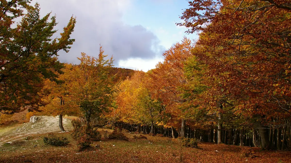 Paesaggio montano di Monte Autore a Livata