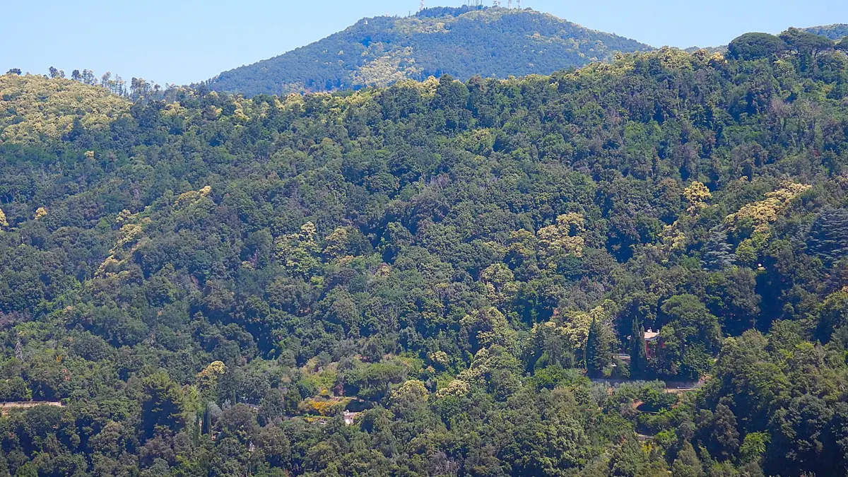 Veduta di Monte Cavo nel Parco dei Castelli Romani