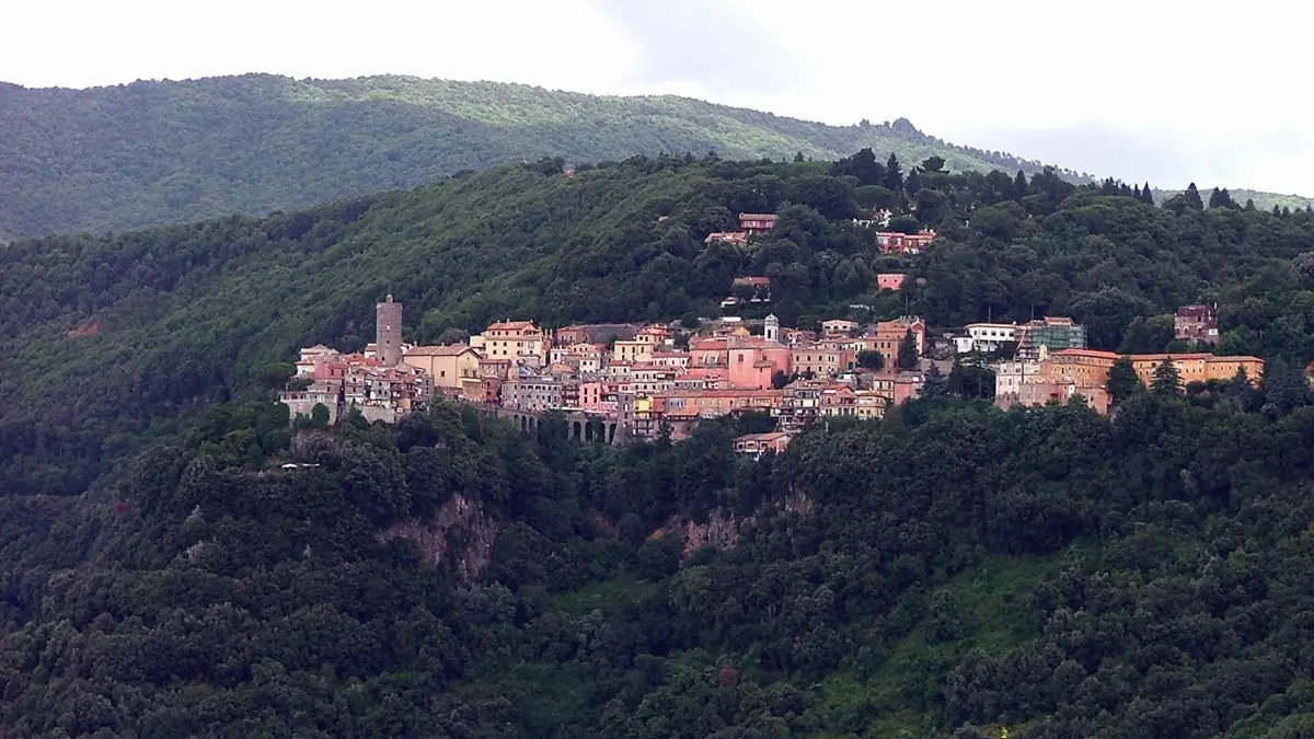 Veduta panoramica del comune di Nemi