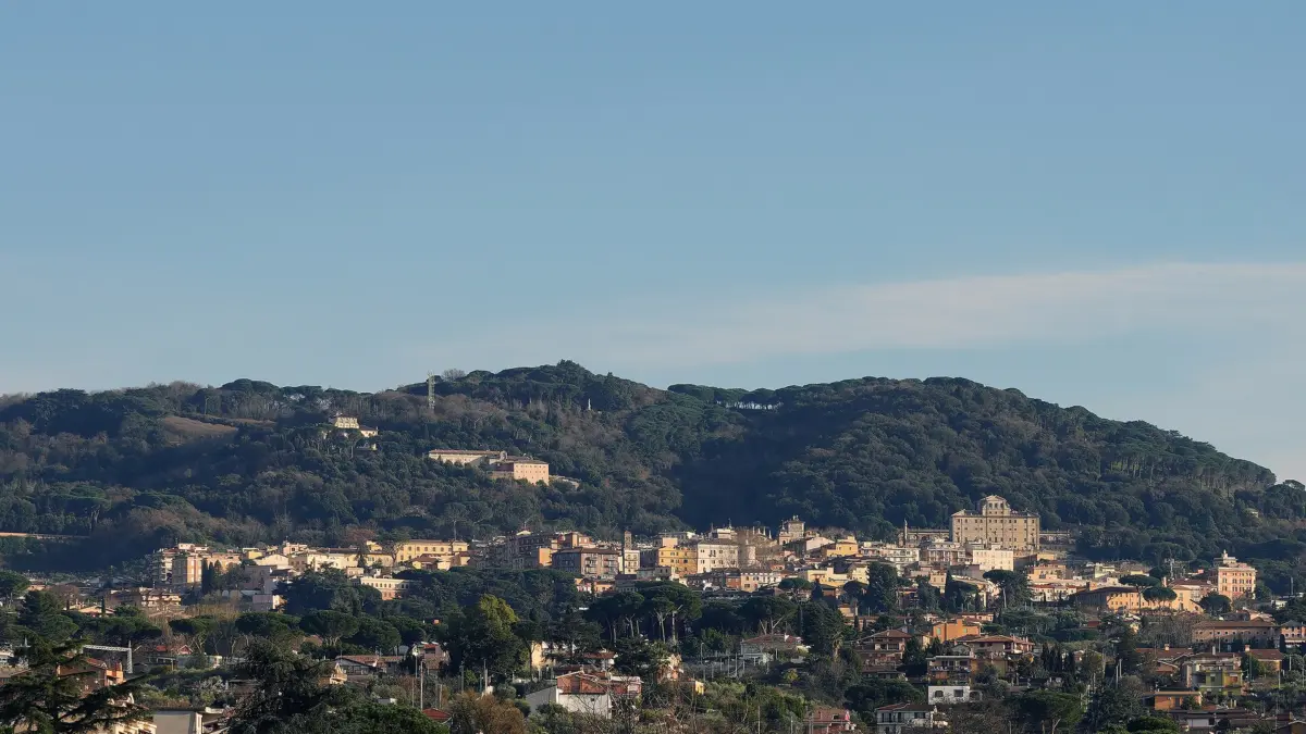 Frascati