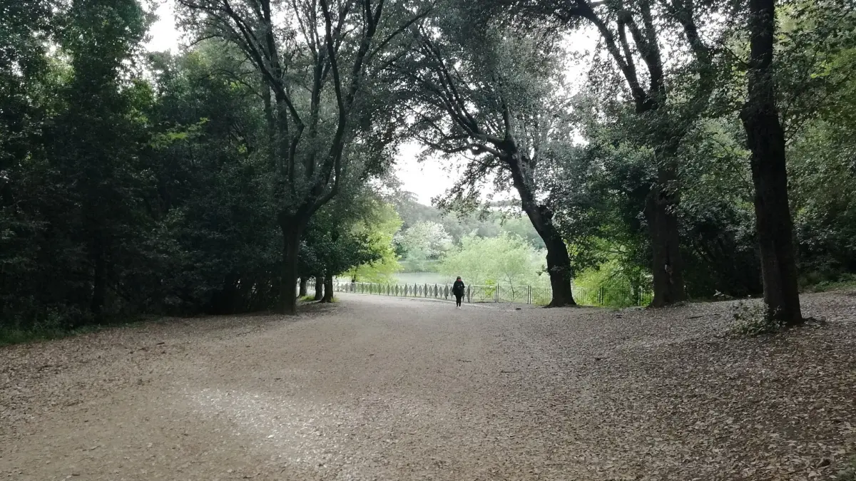 Scorcio del parco di Villa Pamphili a Roma