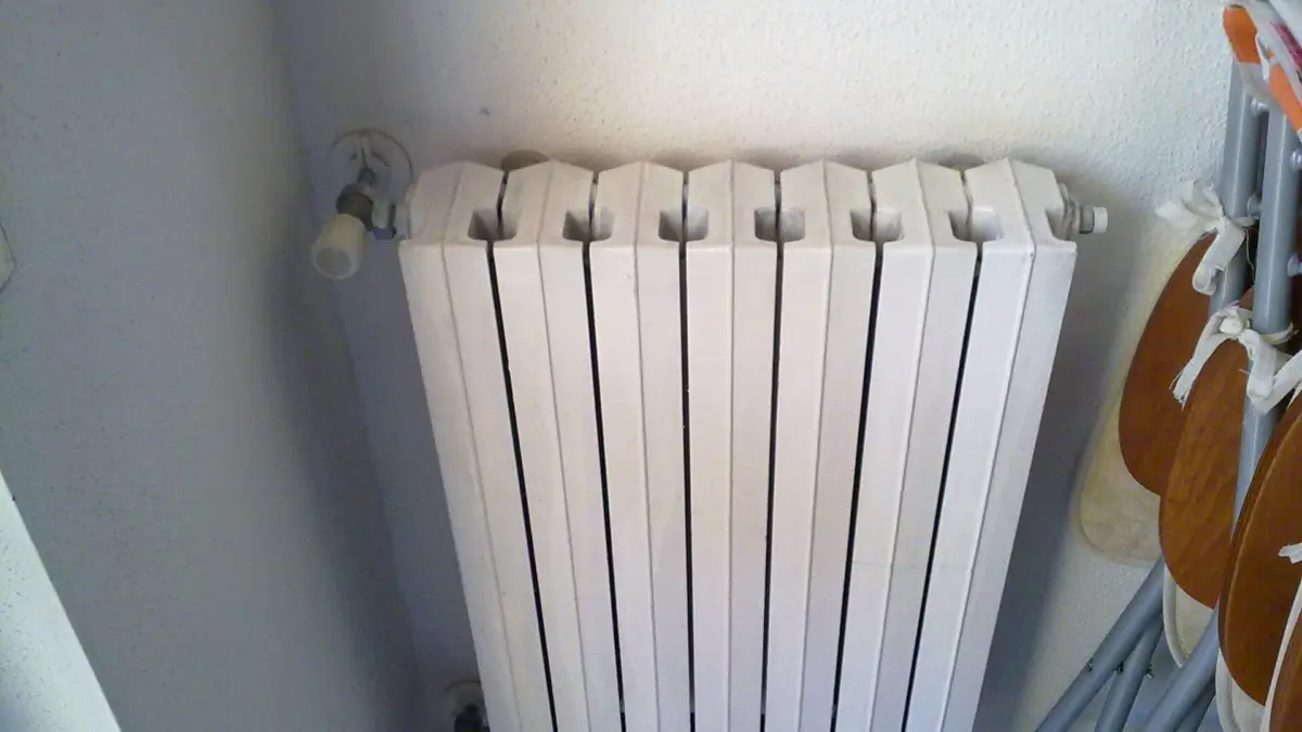 Termosifone per il riscaldamento domestico
