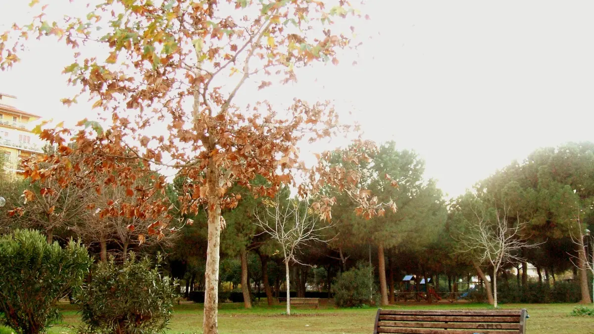 Veduta del parco di Villa Gordiani a Roma