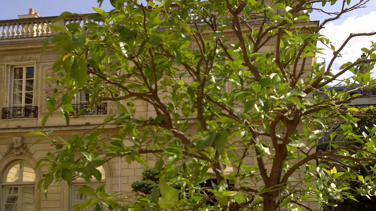 Il Palazzo dell'Eliseo a Parigi, sede della presidenza francese